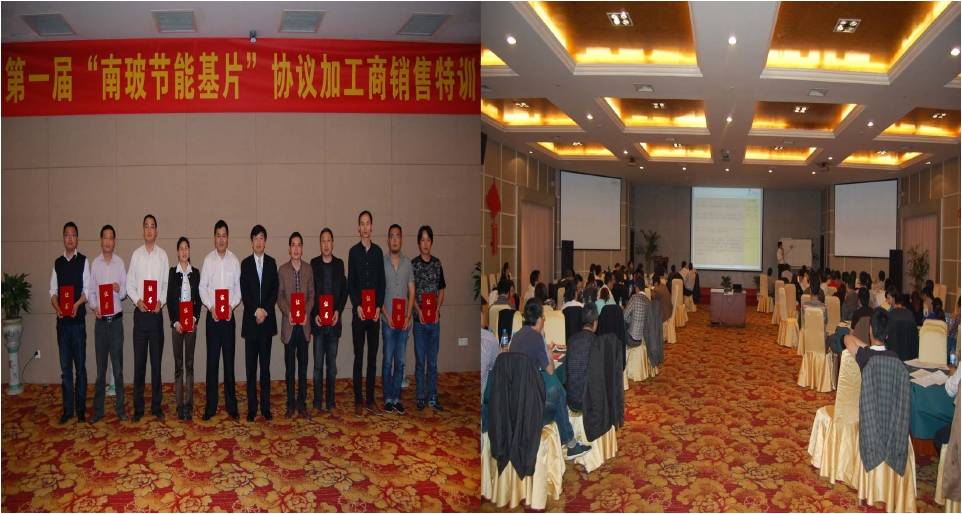 中國(guó)南玻集團(tuán)股份有限公司項(xiàng)目咨詢(xún)